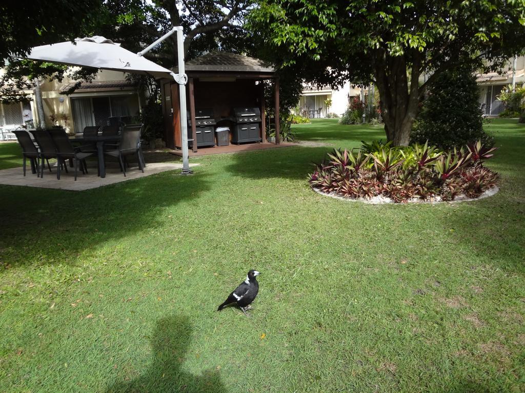 Noosa Gardens Riverside Resort Noosaville Rum bild